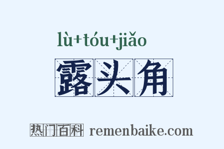 露头角是什么意思的图片